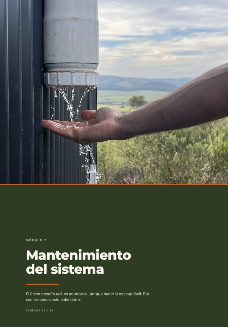 Las 4 tareas del año. Veinte minutos en total.